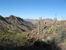 photo thumbnail #5