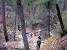photo thumbnail #6