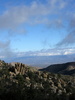 photo thumbnail #7