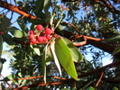photo thumbnail #9