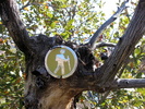 photo thumbnail #15