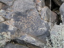 photo thumbnail #7