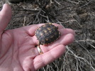 photo thumbnail #9