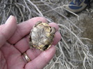 photo thumbnail #10