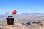 photo thumbnail #4