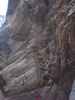 photo thumbnail #8