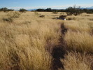 photo thumbnail #14