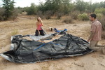 photo thumbnail #1