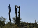 photo thumbnail #9