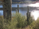 photo thumbnail #4