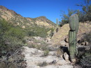 photo thumbnail #2