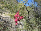 photo thumbnail #7