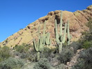 photo thumbnail #8