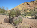 photo thumbnail #13