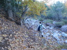 photo thumbnail #2