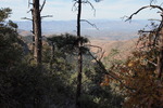 photo thumbnail #5