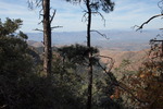 photo thumbnail #8