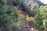photo thumbnail #11