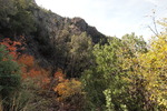 photo thumbnail #12