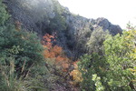 photo thumbnail #13