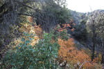 photo thumbnail #14