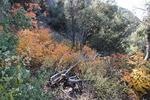 photo thumbnail #15