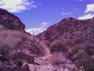 photo thumbnail #1