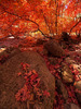photo thumbnail #14