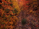 photo thumbnail #15
