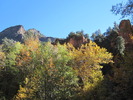 photo thumbnail #12