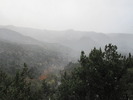recent photo