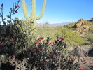 photo thumbnail #1