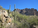photo thumbnail #4