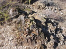 photo thumbnail #5