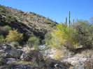 photo thumbnail #6