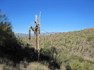 photo thumbnail #10