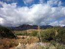photo thumbnail #2