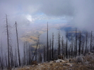 photo thumbnail #7
