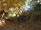 photo thumbnail #11