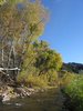 photo thumbnail #12