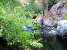 photo thumbnail #10