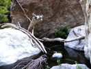 photo thumbnail #14