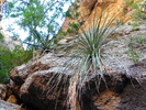 photo thumbnail #15