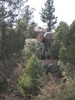 photo thumbnail #2