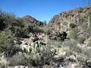 photo thumbnail #1