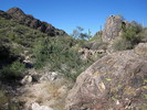 photo thumbnail #2