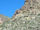 photo thumbnail #4