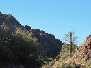 photo thumbnail #6