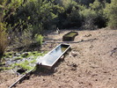 photo thumbnail #9