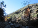 photo thumbnail #10